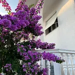 Bozica Apartment