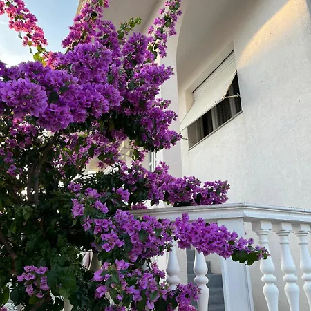 Bozica Apartment