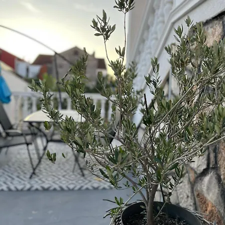 Appartement Bozica Jezera