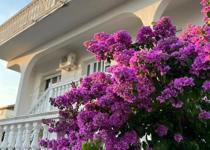 Apartamento Bozica *